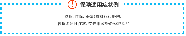 保険適用症状例